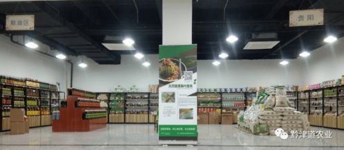 貴州戶戶達(dá) 以農(nóng)產(chǎn)品展示體驗(yàn)中心為橋，守護(hù)家鄉(xiāng)風(fēng)味，服務(wù)會務(wù)展覽